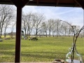 1019_kapschuur