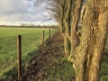 1020_tuin